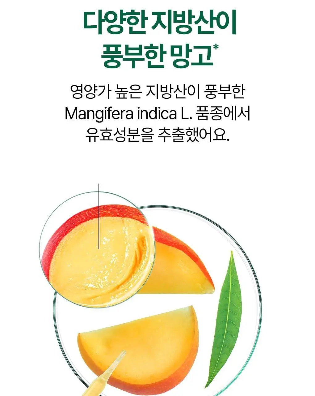 [손상 & 건조모발] 클로란 망고버터 데미지 리페어 샴푸 400ml 상세페이지 12